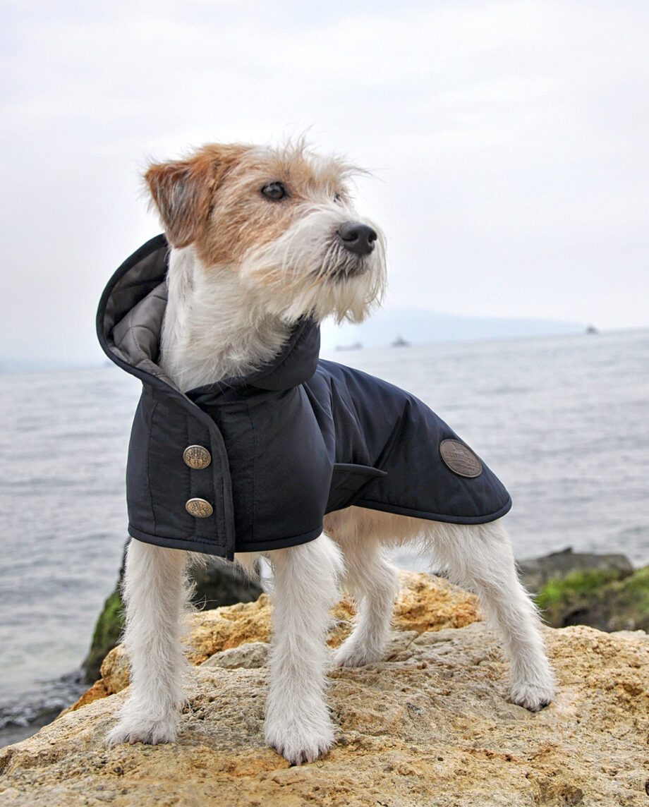 RAIN - Regnjakke, hundedækken fra Bravehound via Pupenhagen