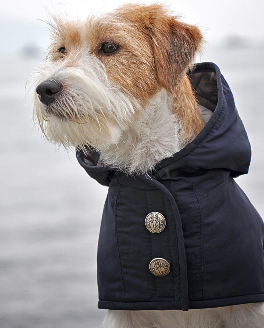 RAIN - hundedækken fra Bravehound via Pupenhagen