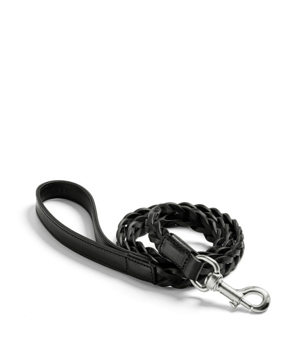 Miacara Bergamo hundesnor hos Pupenhagen